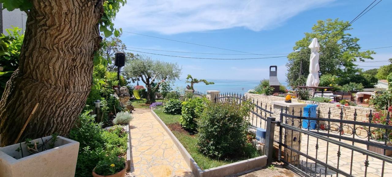 Appartement App Maria 1 à Zambratija  Extérieur photo